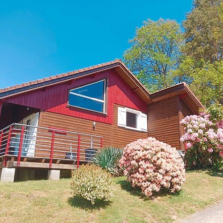 Chalet Ideal 4-8 Pers Avec Garage 20 Mn Gerardmer Vienville Exterior foto